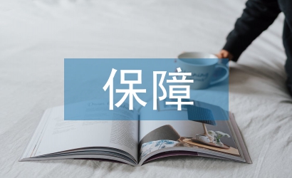 保障工作總結