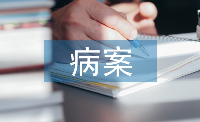 病案教學法論文