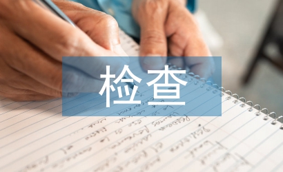 個人檔案檢查材料