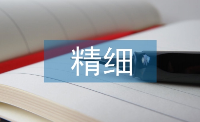精細化管理心得體會